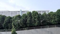 Blk 442C Fajar Hills (Bukit Panjang), HDB 4 Rooms #628705801